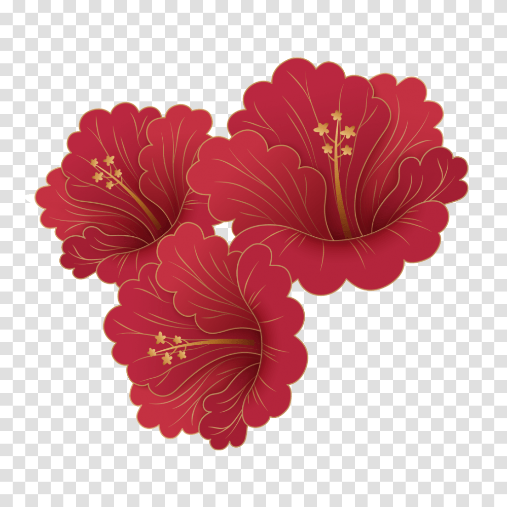 Hand Painted Delicate Magnolia Flower Free, Plant, Hibiscus, Blossom, Rose Transparent Png
