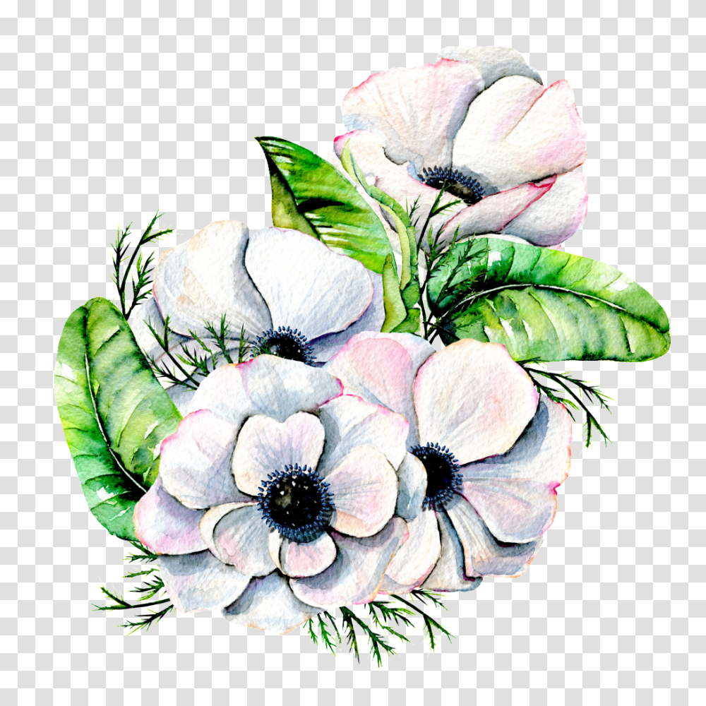 Hand Painted Elegant White Flower Free, Floral Design, Pattern Transparent Png