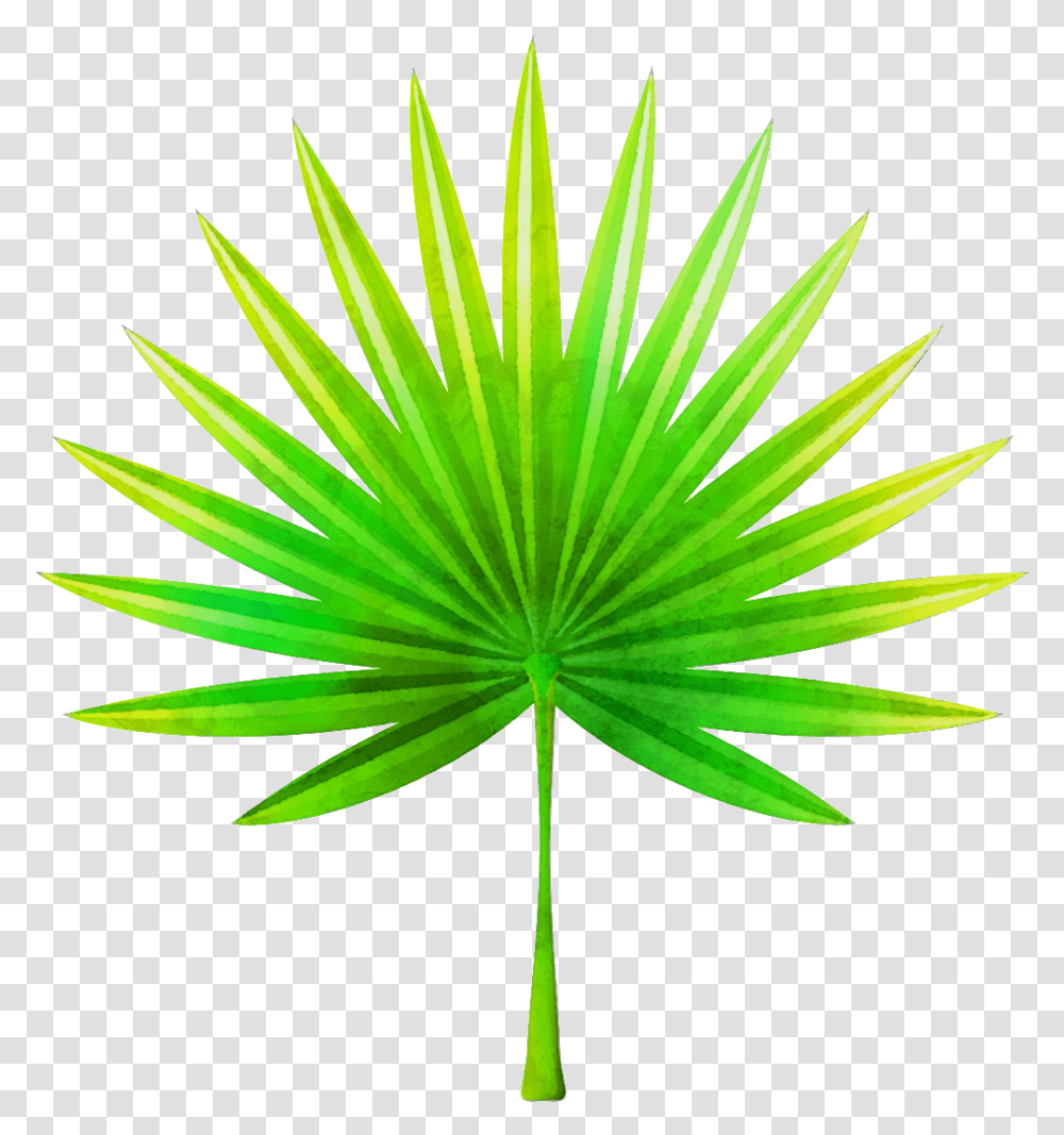 Hand Painted Fan Shaped Leaves Background Palm Frond Clip Art, Plant, Green, Leaf, Paper Transparent Png