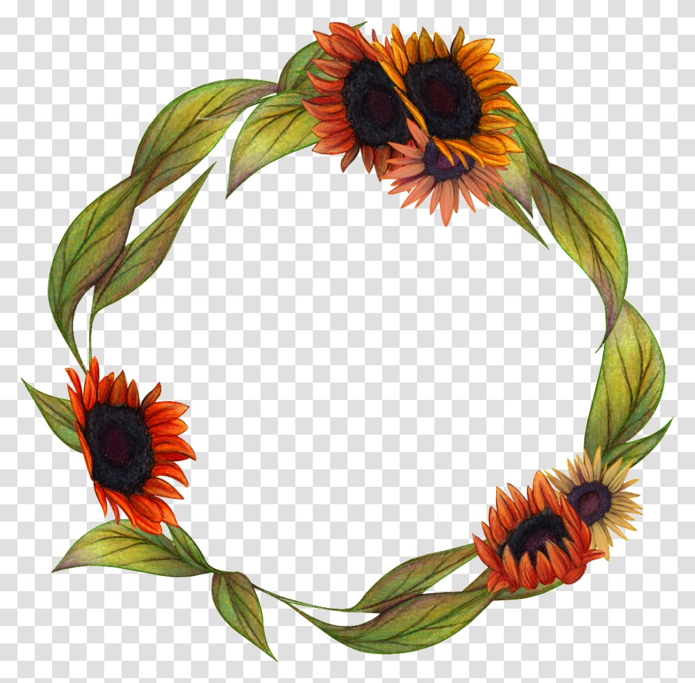 Hand Painted Flower Garland Free Download, Plant, Blossom, Sunflower, Wreath Transparent Png