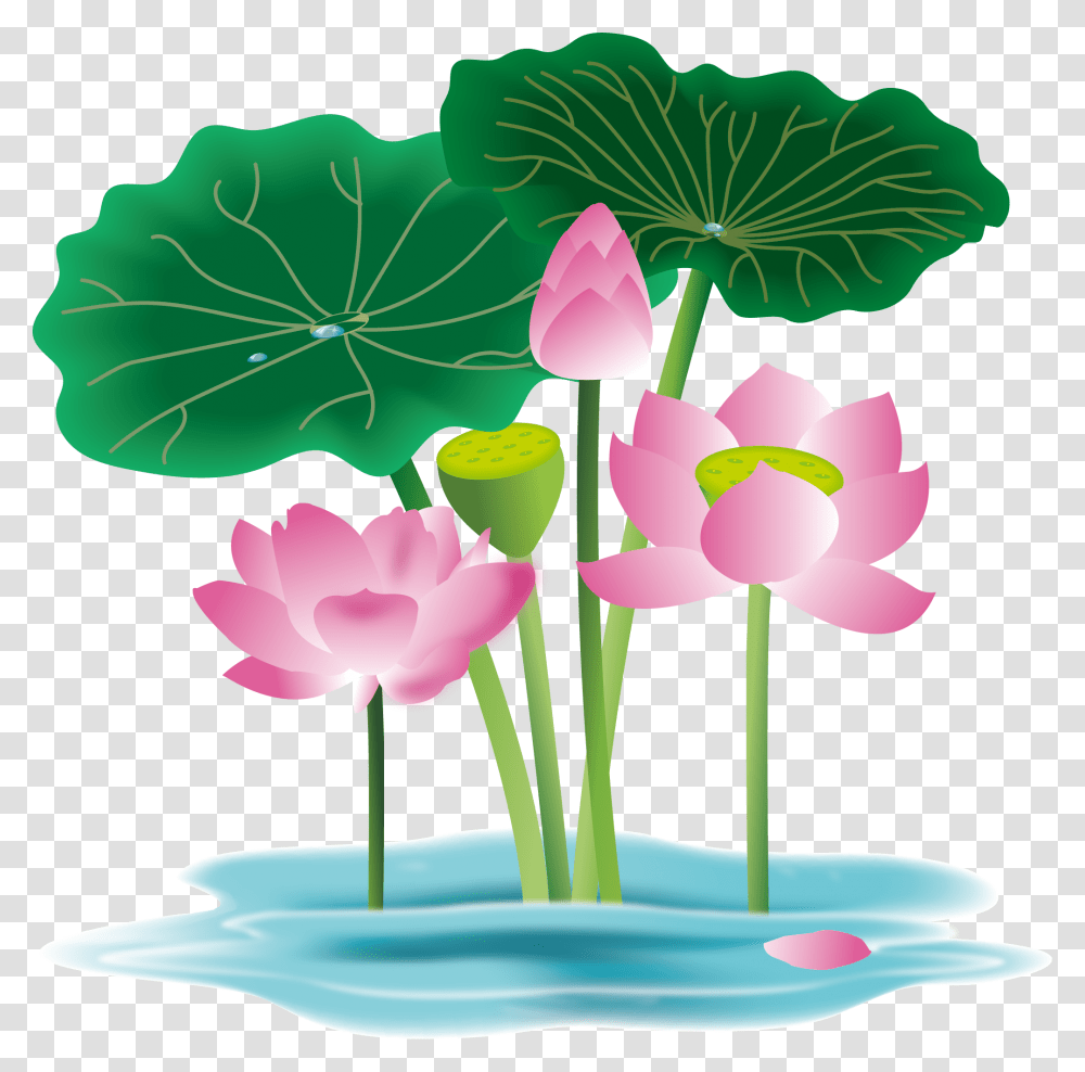Hand Painted Flower Plant Water Lily And Vector, Blossom, Petal, Leaf, Anther Transparent Png