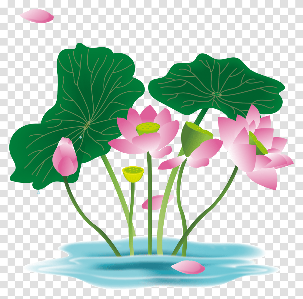 Hand Painted Flower Plant Water Lily And Vector, Geranium, Petal, Flower Arrangement, Anther Transparent Png