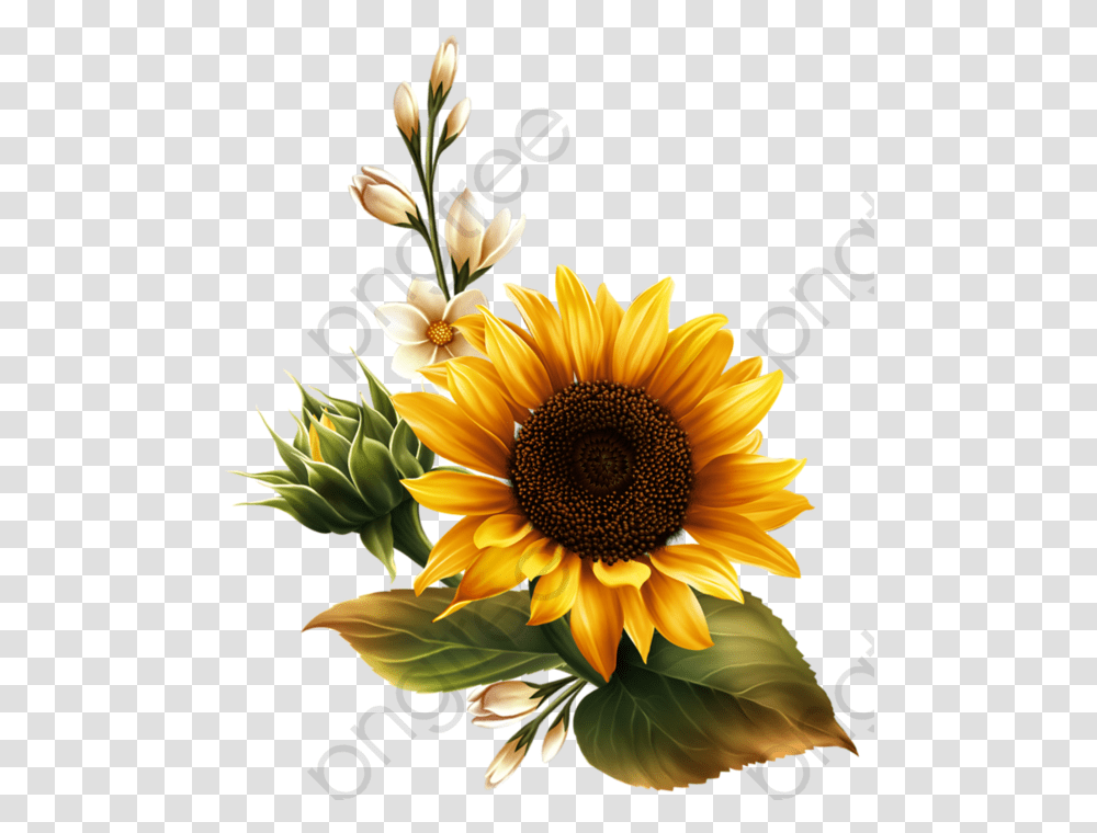 Hand Painted Gold Background Sunflower Clipart, Plant, Blossom, Flower Arrangement, Daisy Transparent Png