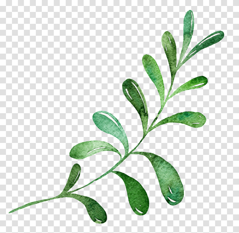 Hand Painted Green Leaf Wreath Free Download, Plant, Potted Plant, Vase, Jar Transparent Png
