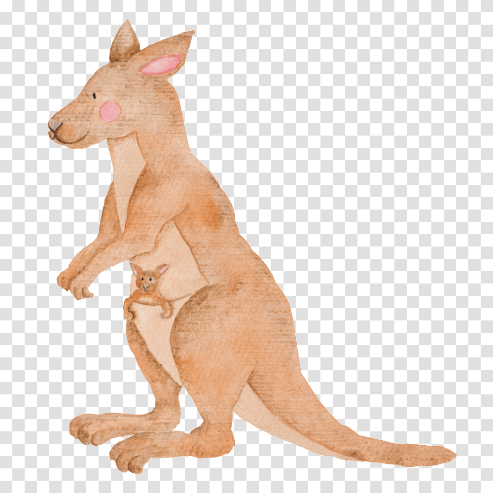Hand Painted Kangaroo Animal Free Download, Mammal, Wallaby Transparent Png