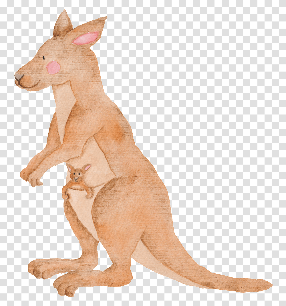 Hand Painted Kangaroo Australian Animals Watercolor, Mammal, Wallaby Transparent Png
