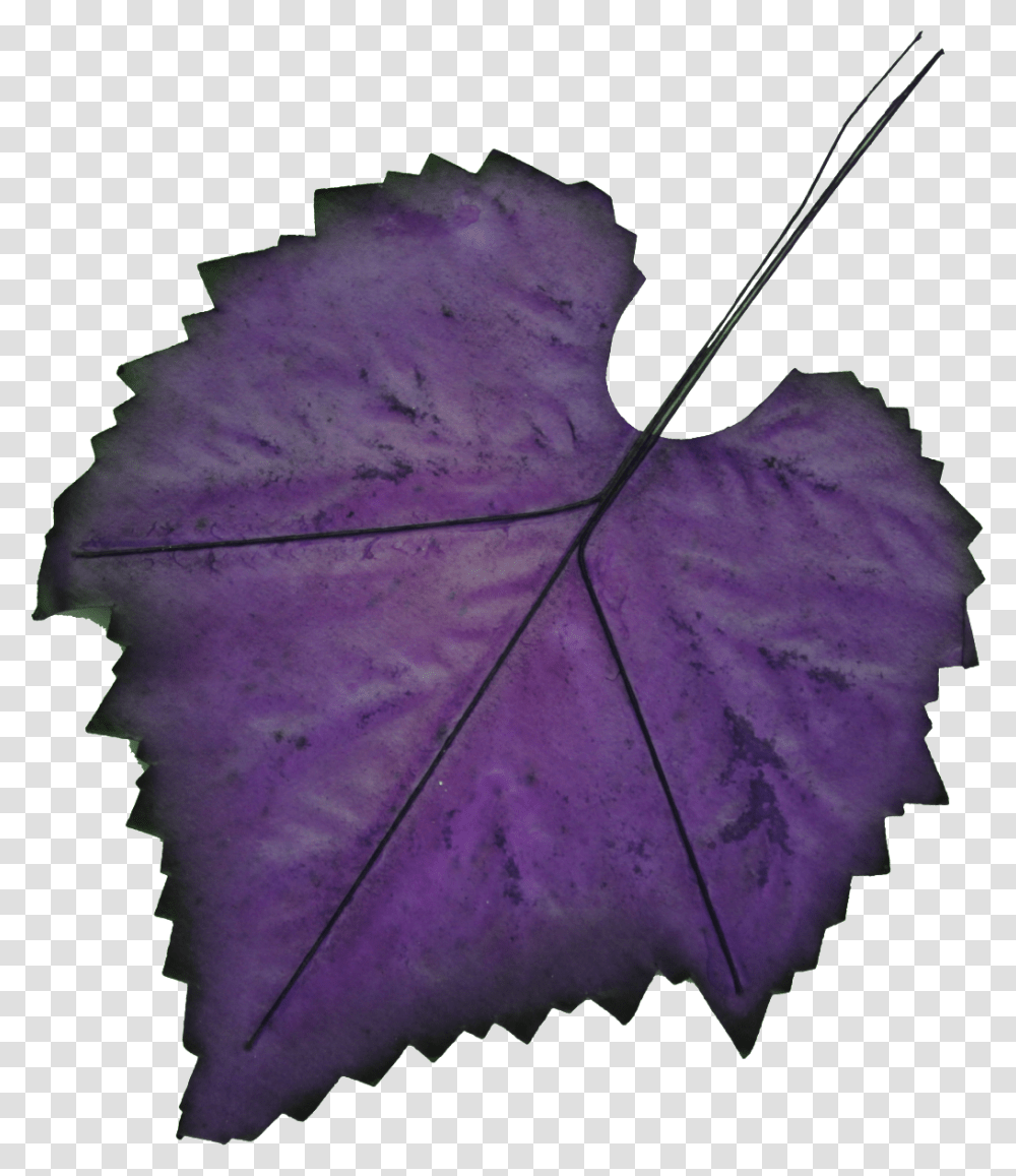 Hand Painted Leaf Purple Autumn Leaves, Plant, Maple Leaf, Veins Transparent Png