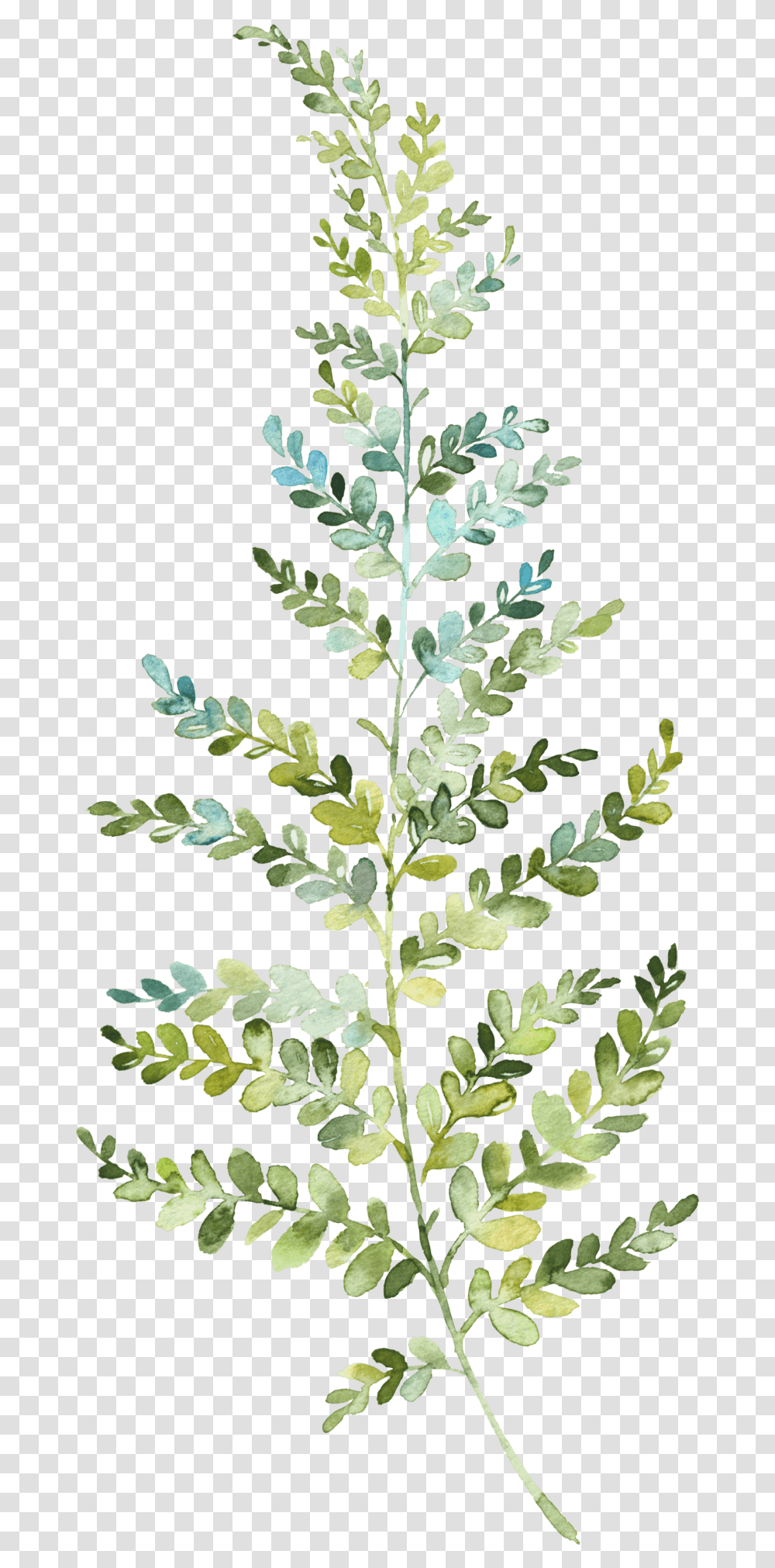 Hand Painted Leaf Wallpaper, Plant, Flower, Blossom, Fern Transparent Png