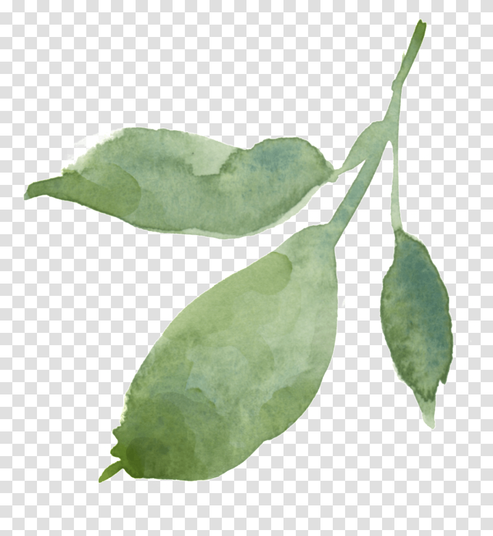 Hand Painted Leaves Decorative Free Download, Plant, Bird, Animal, Flower Transparent Png