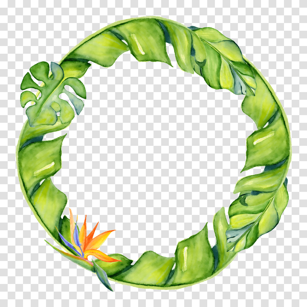 Hand Painted Linear Leaf Circle Free, Green, Sliced Transparent Png