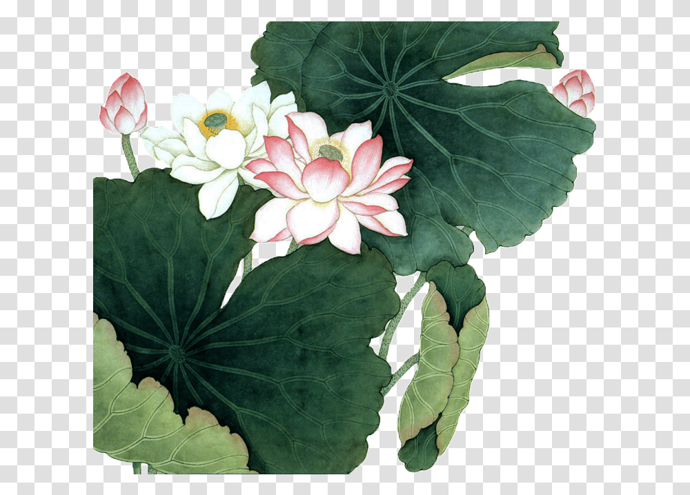 Hand Painted Lotus Flower Plant Chinese Painting Lotus Flower, Leaf, Blossom, Pond Lily, Pattern Transparent Png