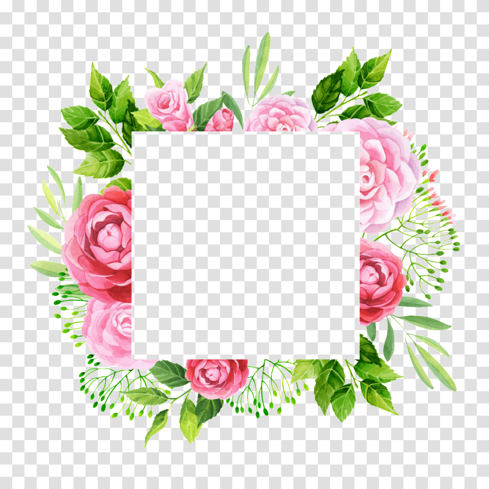 Hand Painted Peony Flower Frame Free, Plant, Blossom Transparent Png