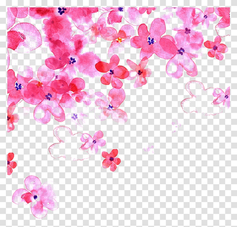 Hand Painted Pink Cherry Blossom Decorative, Plant, Flower, Petal, Rug Transparent Png