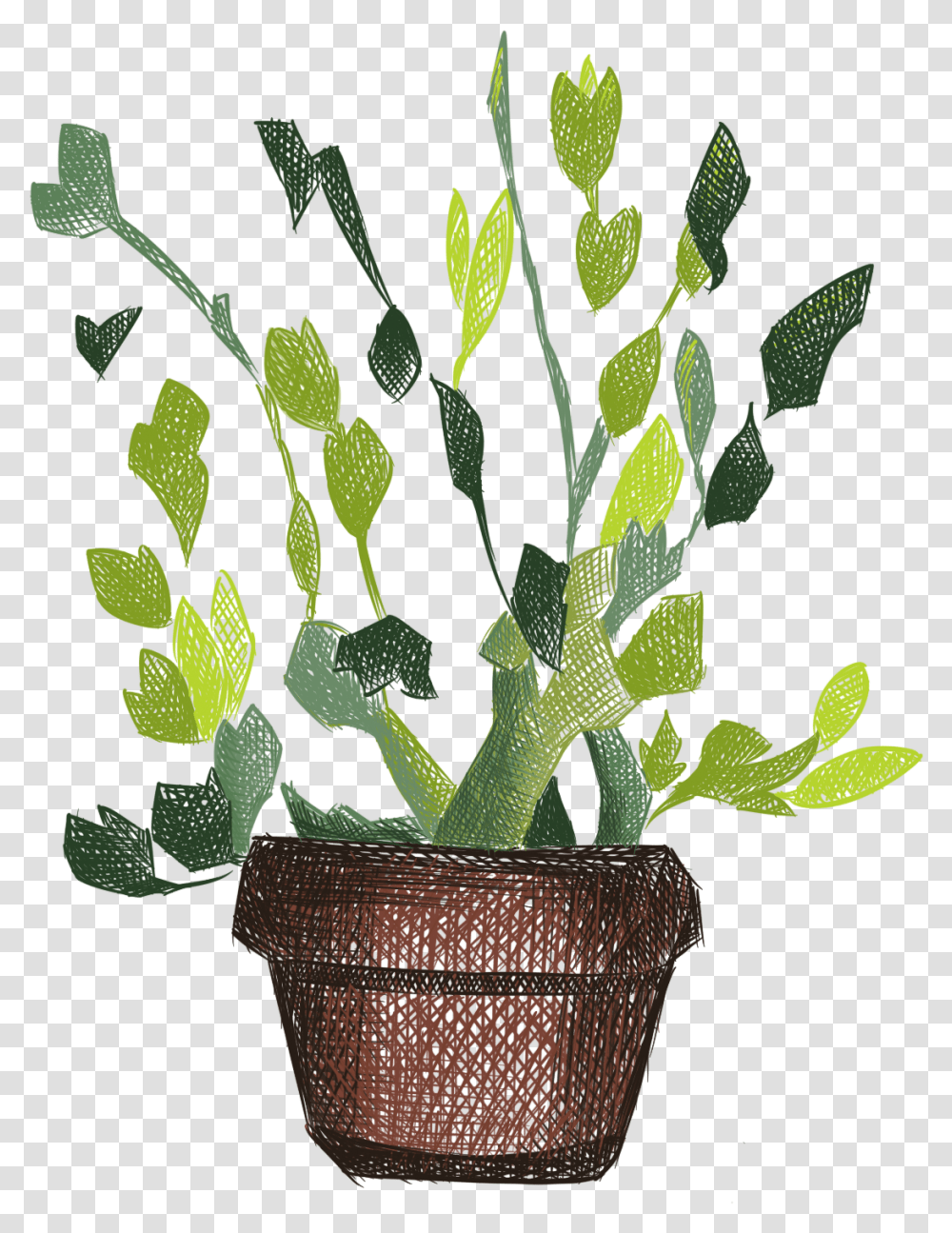 Hand Painted Plants Flowers Fresh Potted And Psd Hnh V Chu Cy, Leaf Transparent Png