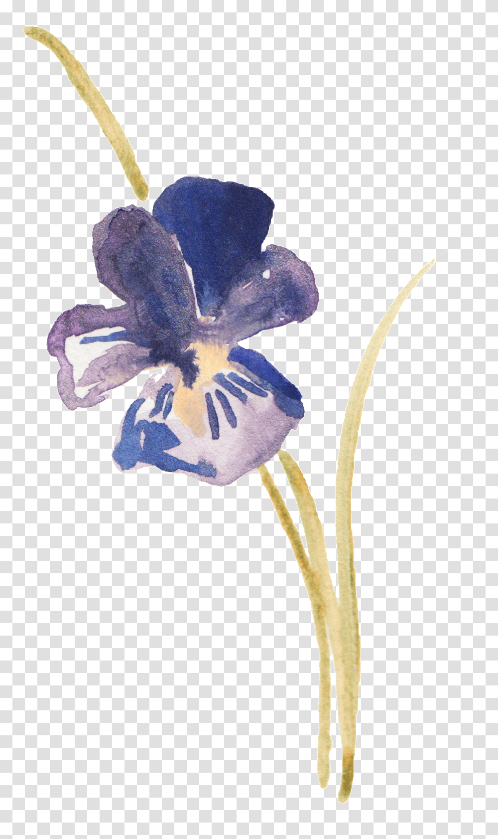 Hand Painted Platycodon Ink Painting Decorative Watercolor Violets, Plant, Flower, Blossom, Iris Transparent Png