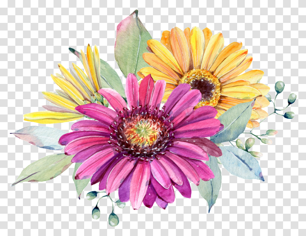 Hand Painted Purple Chrysanthemum Watercolor Painting, Plant, Flower, Blossom, Daisy Transparent Png
