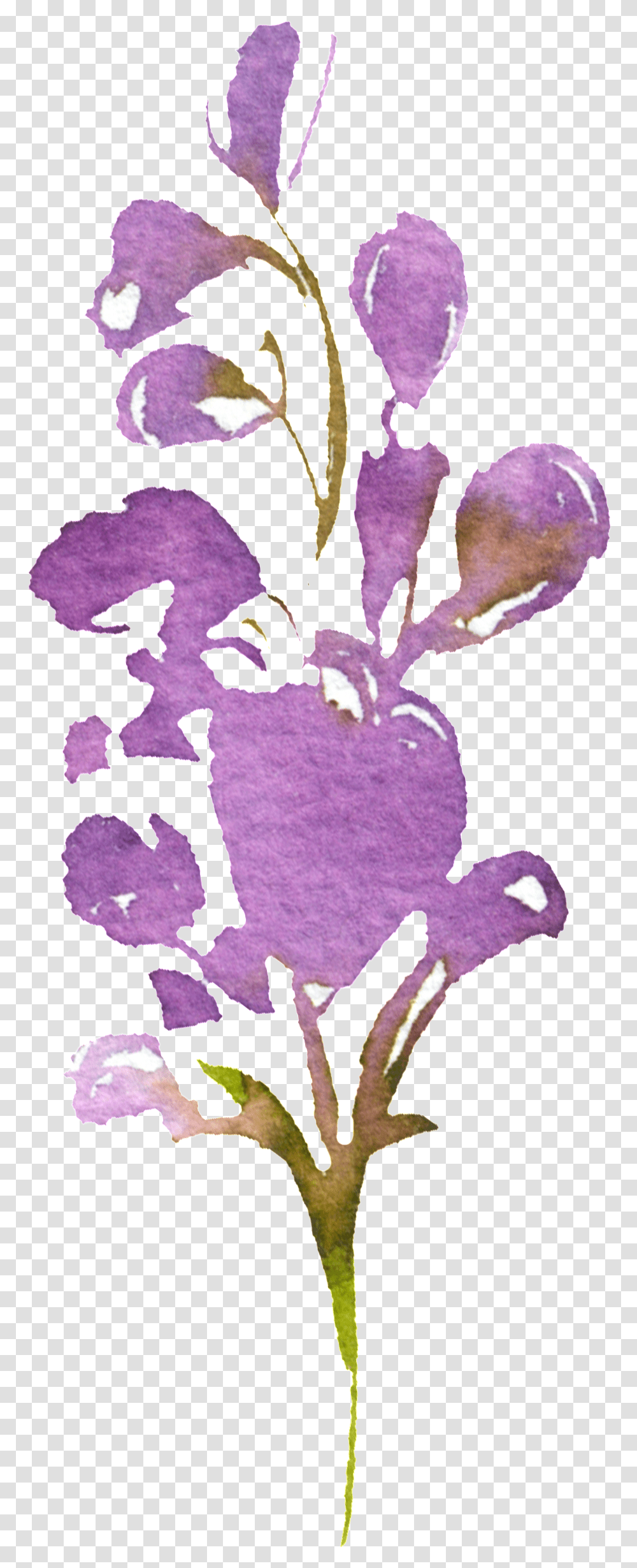 Hand Painted Purple Watercolor Flower Spring Crocus, Plant, Iris, Petal, Art Transparent Png
