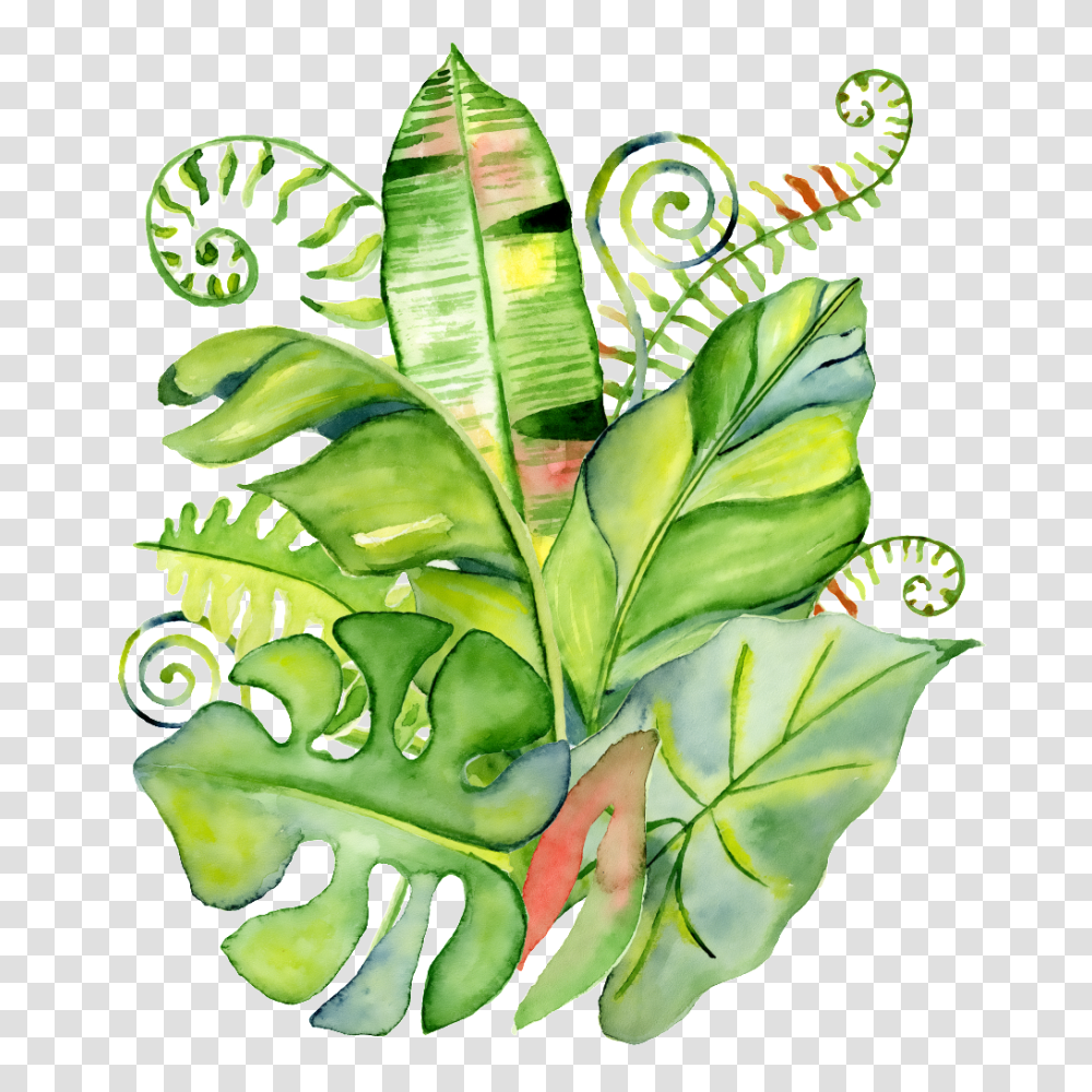 Hand Painted Realistic Tropical Leaves Free, Leaf, Plant, Green, Aloe Transparent Png