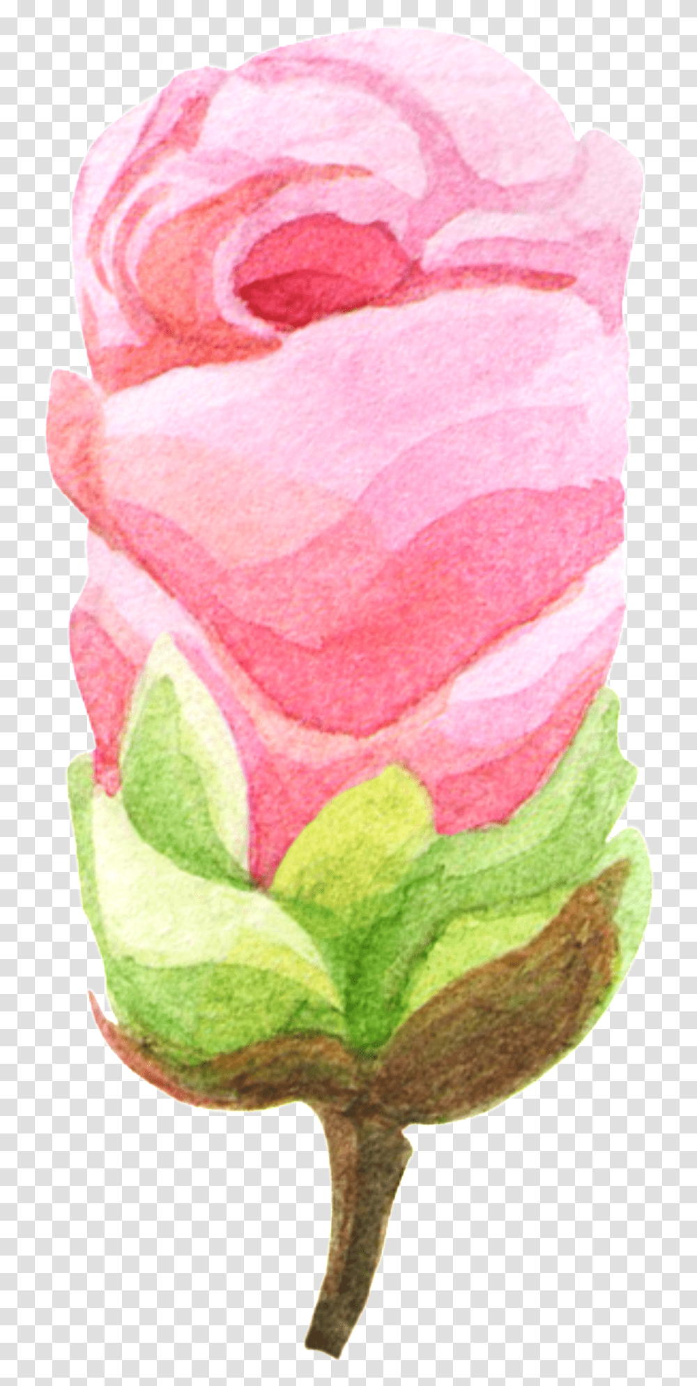 Hand Painted Rose Like Ice Cream Material Garden Roses, Petal, Flower, Plant, Sweets Transparent Png