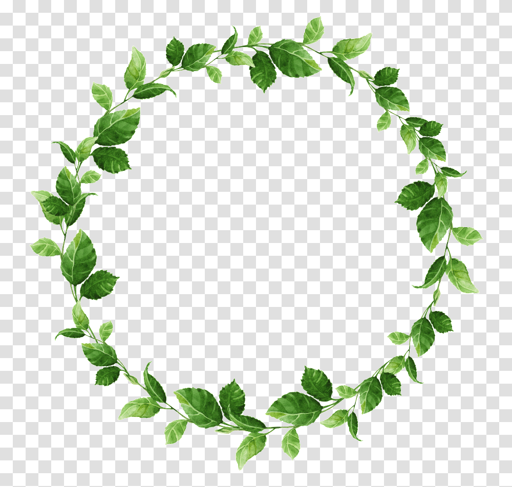 Hand Painted Small Leaf Circle Material Circulo De Folhas, Green, Plant, Wreath, Ivy Transparent Png