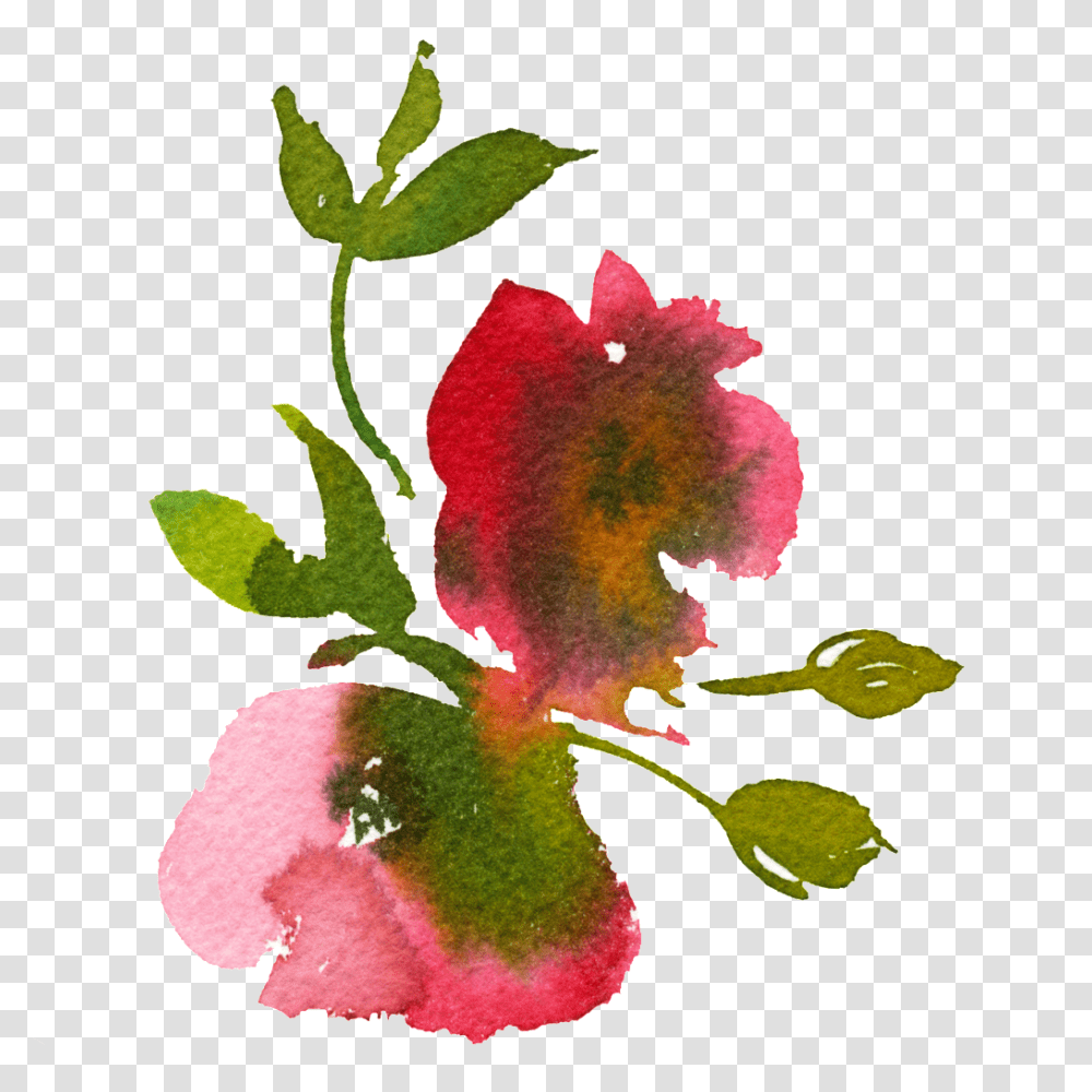 Hand Painted Smudged Watercolor Flower Free, Plant, Flower Arrangement, Petal, Ikebana Transparent Png
