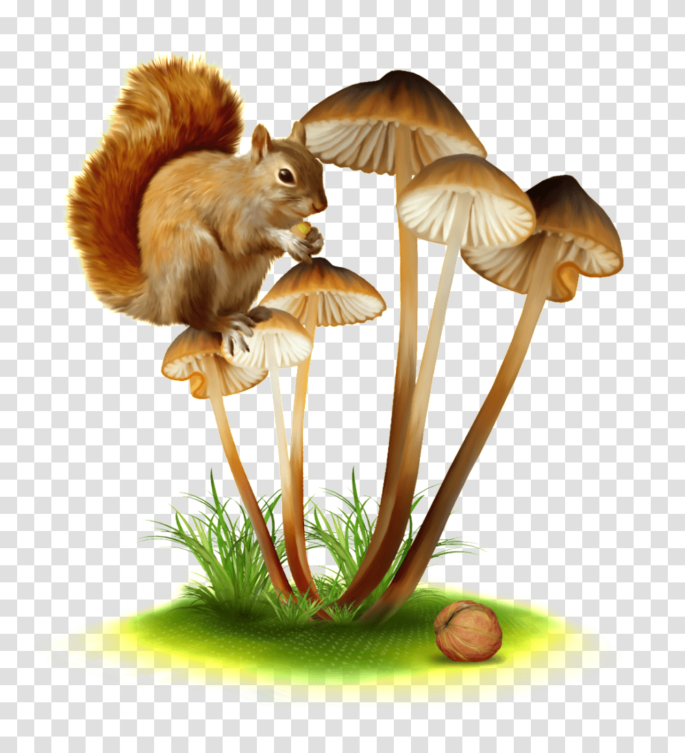 Hand Painted Squirrel Ready To Eat Free, Plant, Fungus, Agaric, Mushroom Transparent Png