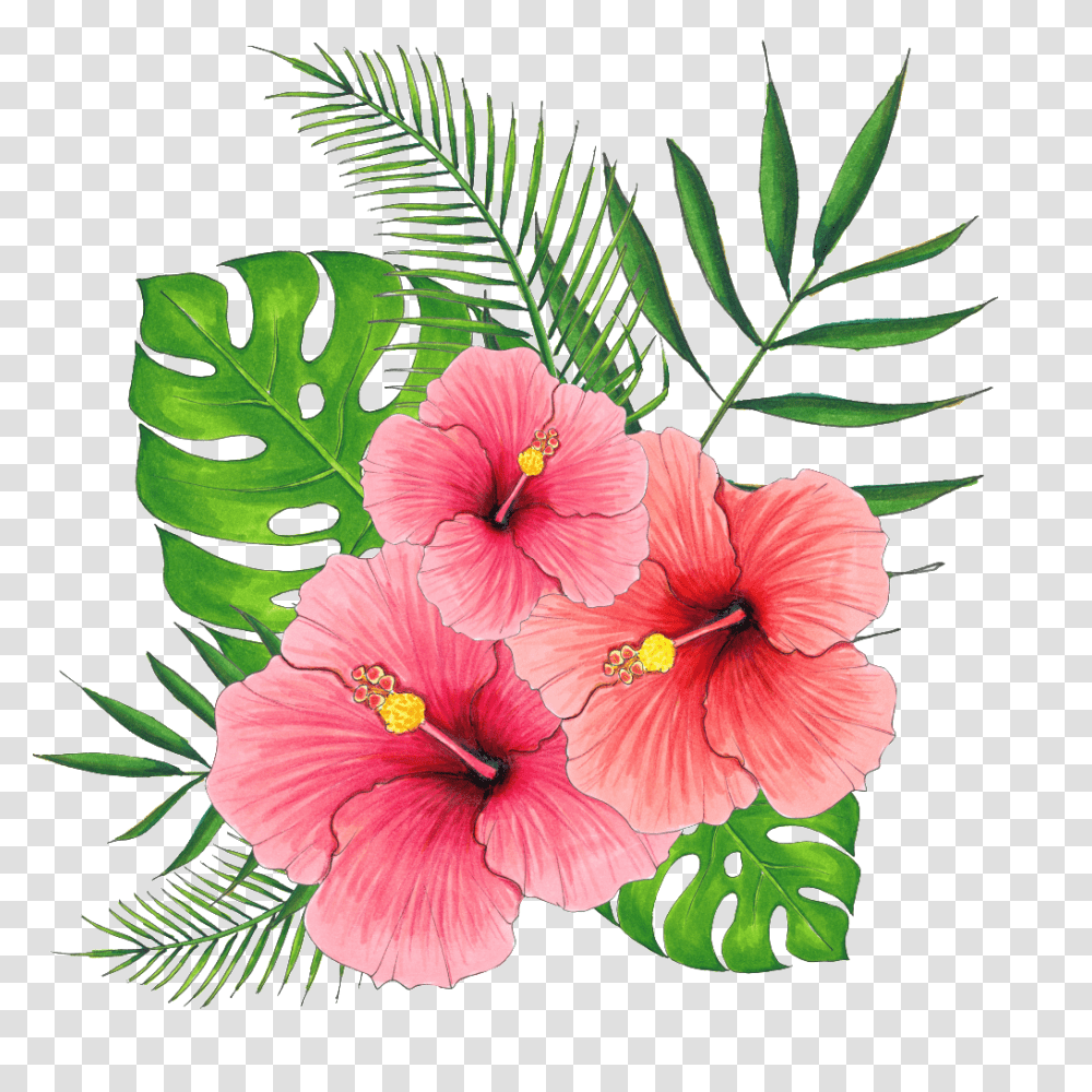 Hand Painted Summer Hibiscus Flower Free, Plant, Blossom Transparent Png
