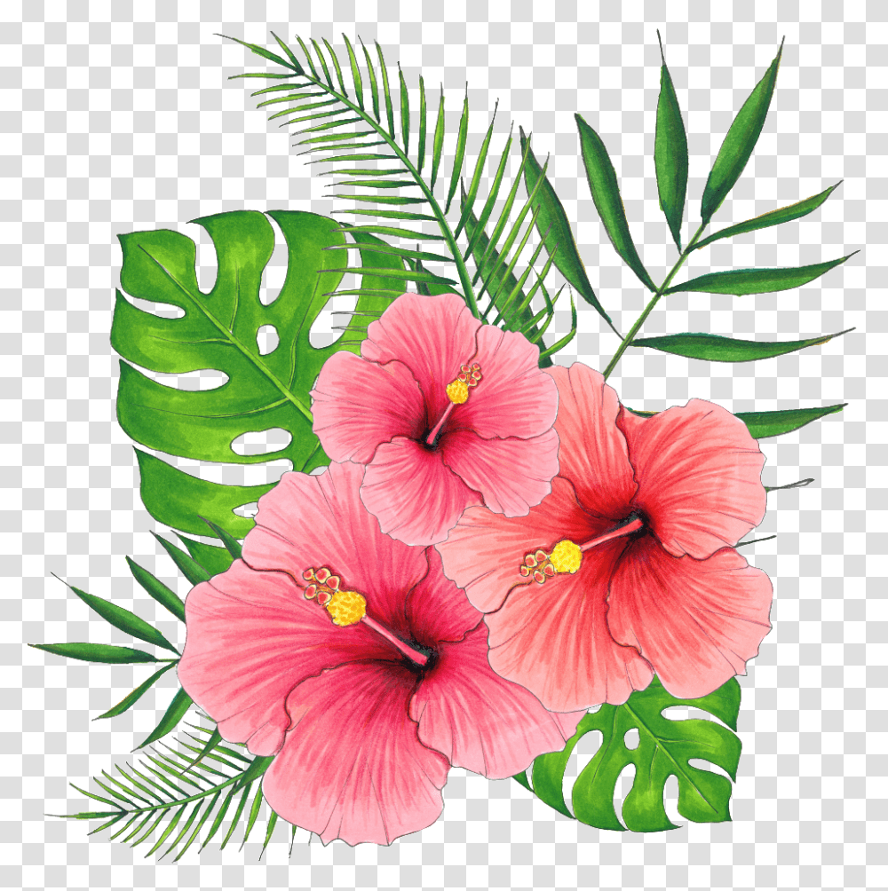 Hand Painted Summer Hibiscus Flower Hibiscus Flower Background, Plant, Blossom, Leaf Transparent Png