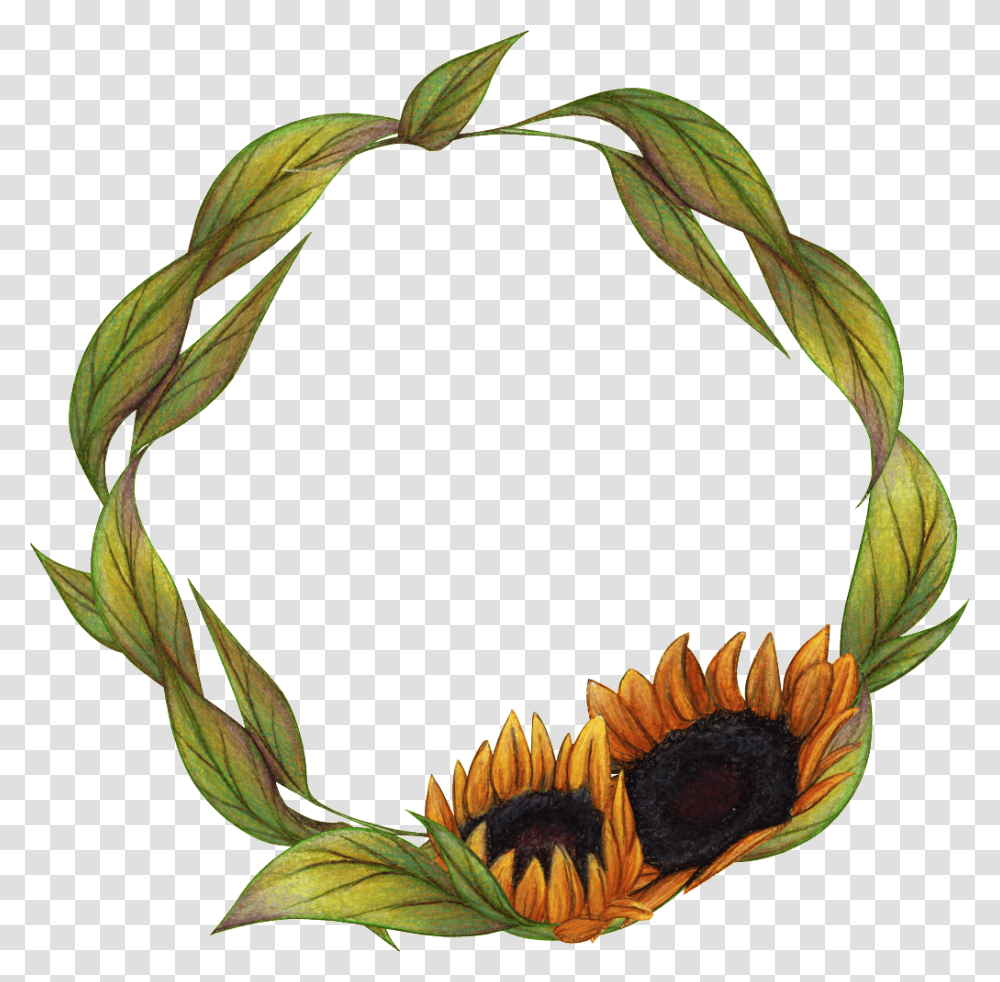 Hand Painted Sunflower Wreath Free Download, Plant, Blossom Transparent Png