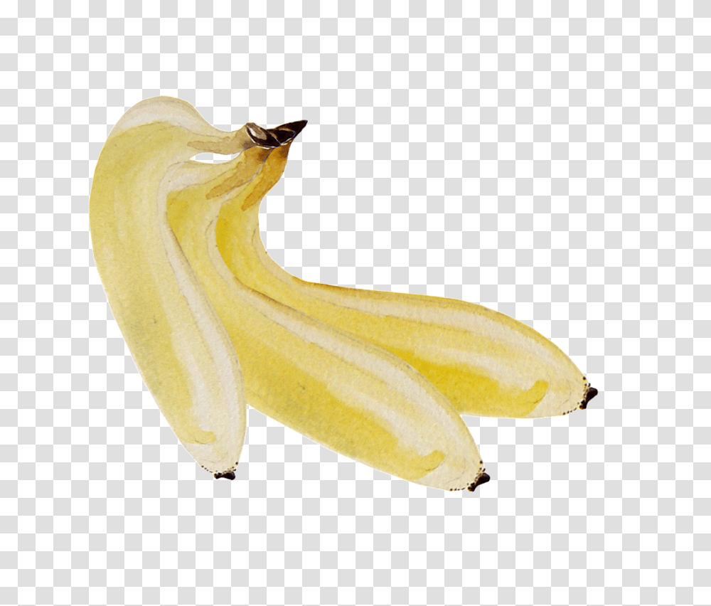 Hand Painted Three Bananas Free Download, Fruit, Plant, Food, Peel Transparent Png