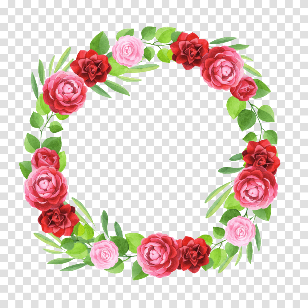 Hand Painted Three Colors Of Flowers Garland, Rose, Plant, Blossom, Wreath Transparent Png