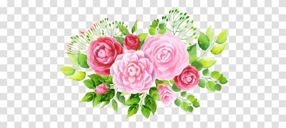 Hand Painted Three Varieties Of Flowers Floral Rose Vector, Plant, Blossom, Graphics, Art Transparent Png