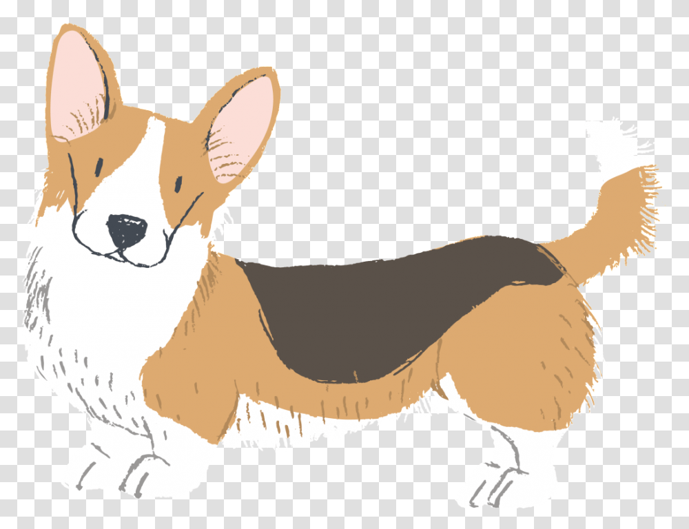 Hand Painted Watercolor Cute Keji Free Buckle Dog Vector Watercolor Dog, Animal, Canine, Mammal, Pet Transparent Png
