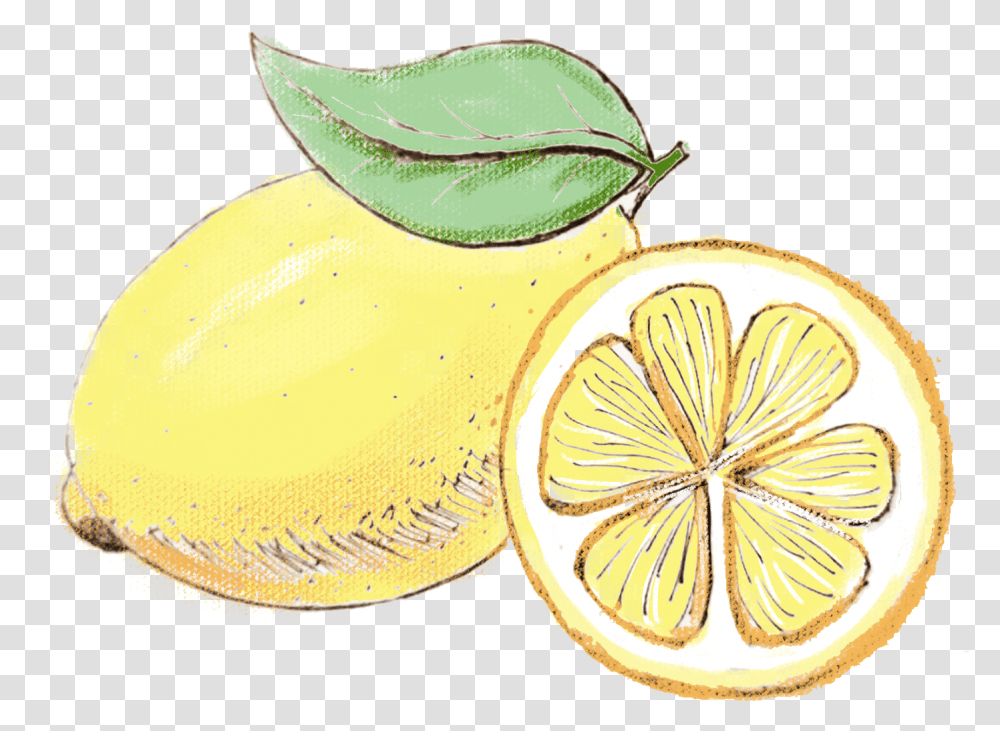 Hand Painted Watercolor Lemon Simple And Psd Watercolor Lemon Background, Plant, Fruit, Food, Citrus Fruit Transparent Png