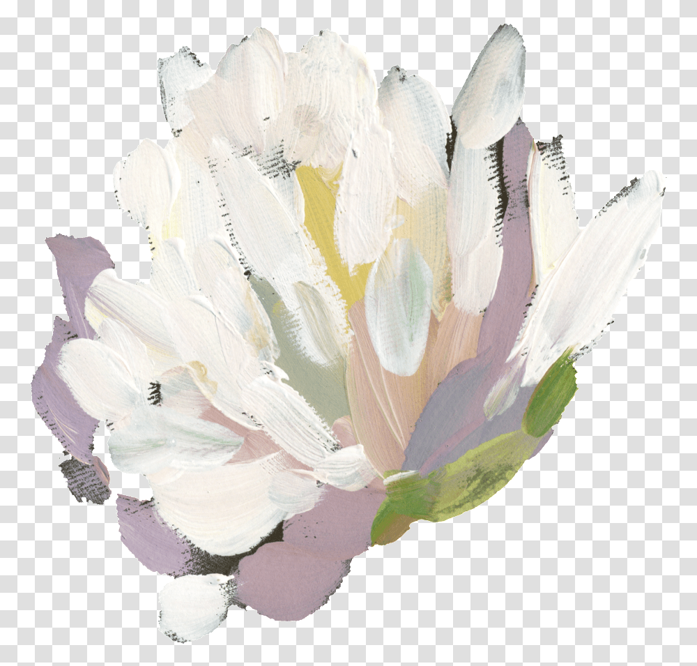 Hand Painted White Watercolor Flower Sacred Lotus, Plant, Blossom, Petal, Pollen Transparent Png