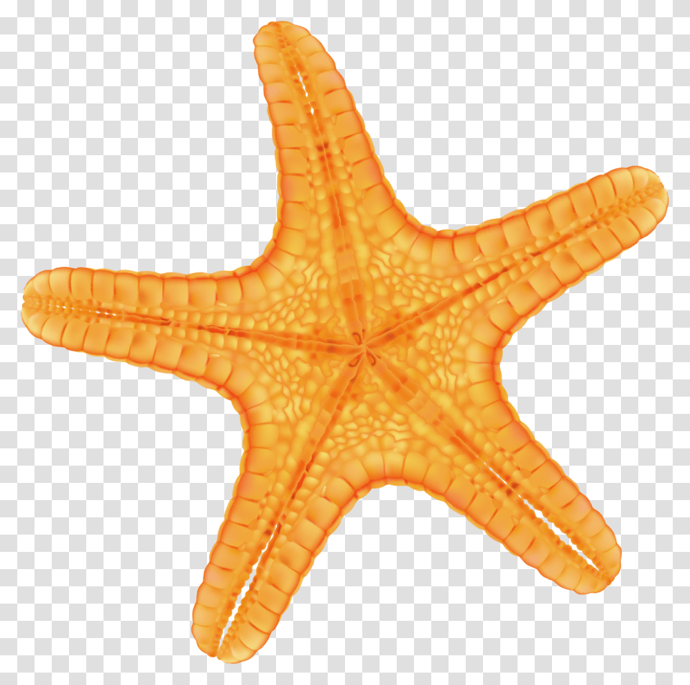 Hand Painted Yellow Starfish Download Estrela Do Mar Lilas, Dinosaur, Reptile, Animal, Invertebrate Transparent Png