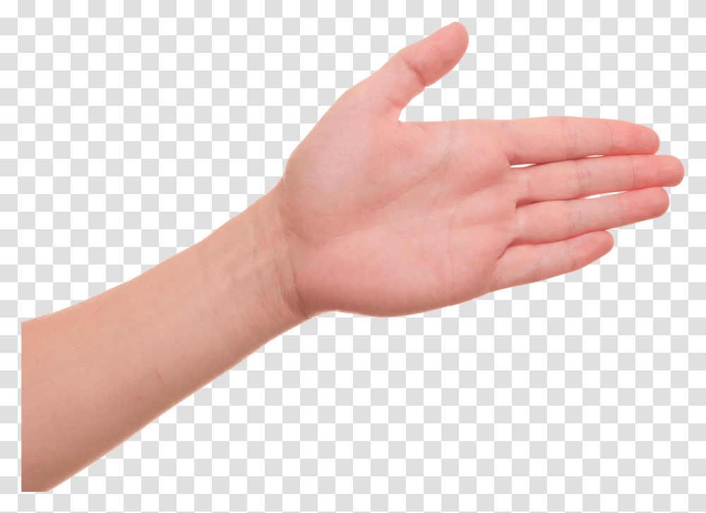 Hand Palm Of Hand Transparent Png