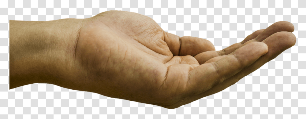 Hand Palm Palm Up Begging Receiving Showing Hand Asking For Money, Finger, Wrist, Person, Human Transparent Png