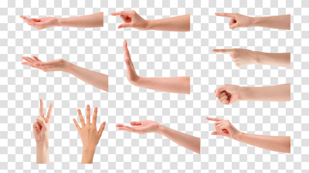 Hand Palm, Person, Human, Arm, Finger Transparent Png