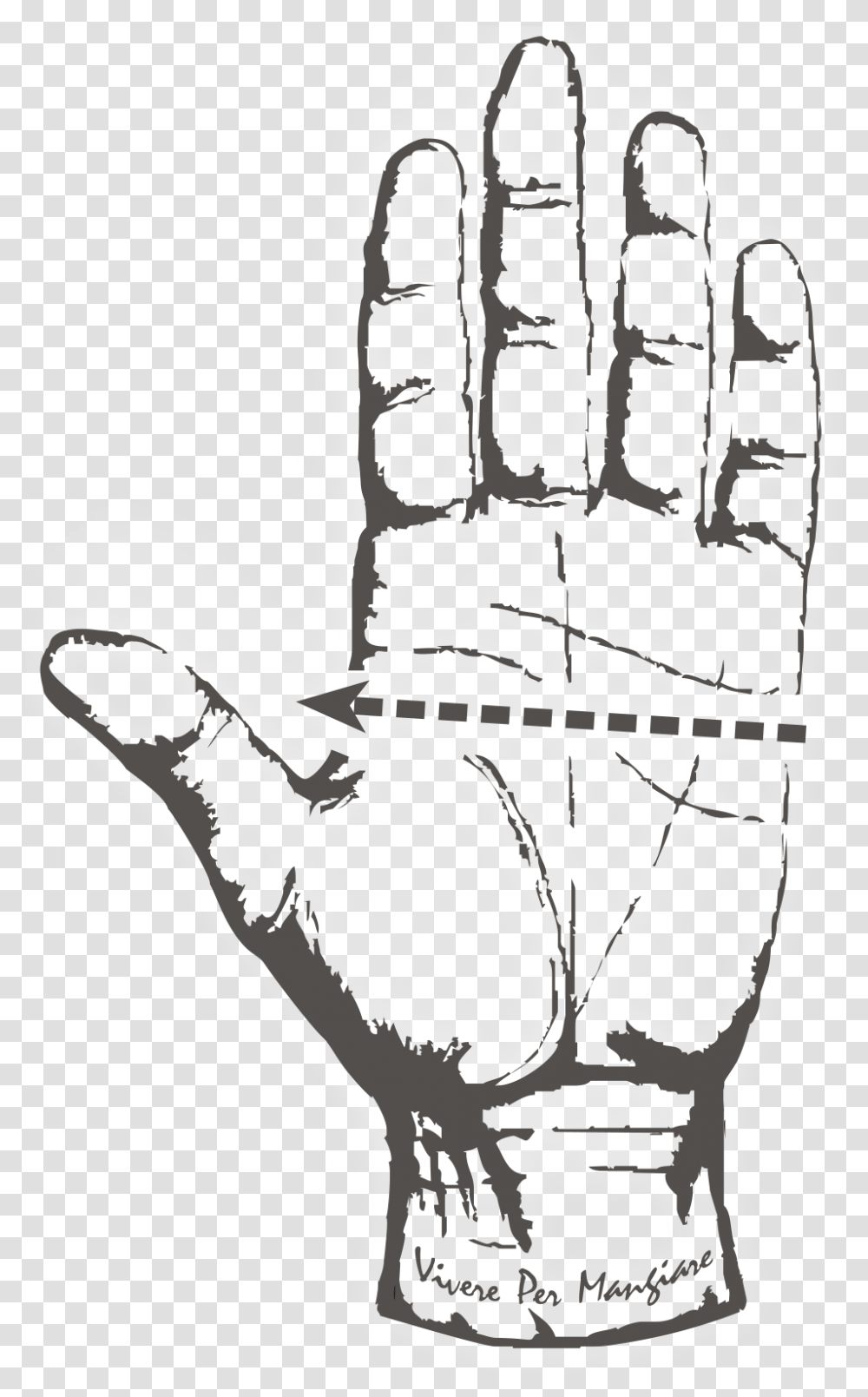 Hand Palm Reading Guide, Fist Transparent Png