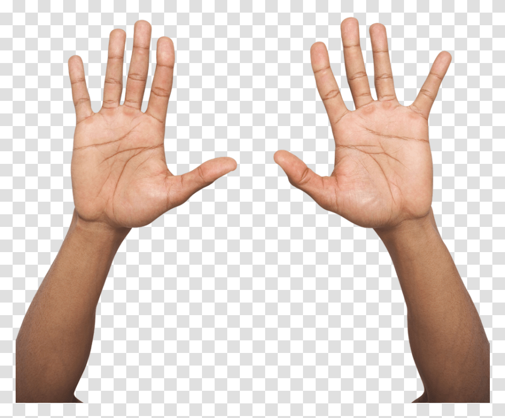 Hand Palm Up Two Hands Up, Person, Human, Finger, Wrist Transparent Png