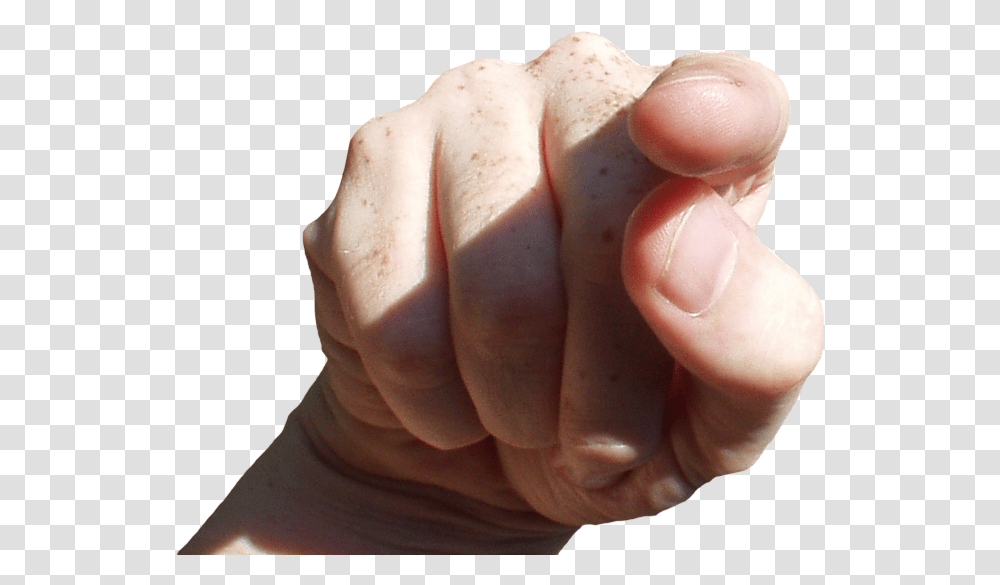Hand Pointing, Finger, Person, Human, Plant Transparent Png