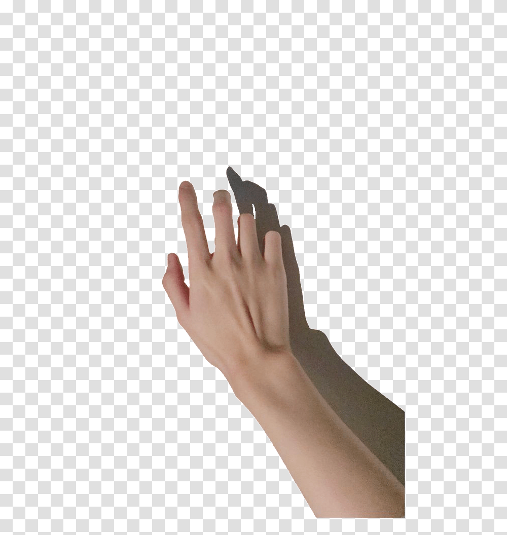 Hand Reference, Person, Human, Nail, Manicure Transparent Png