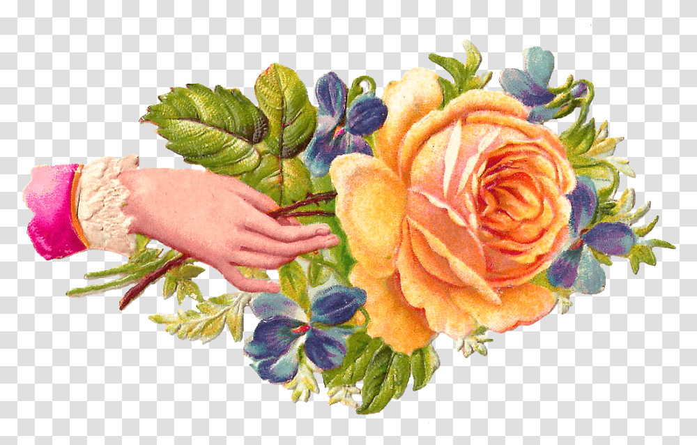 Hand Rose Stickpng Welcome Images With Hands, Plant, Flower, Blossom, Art Transparent Png