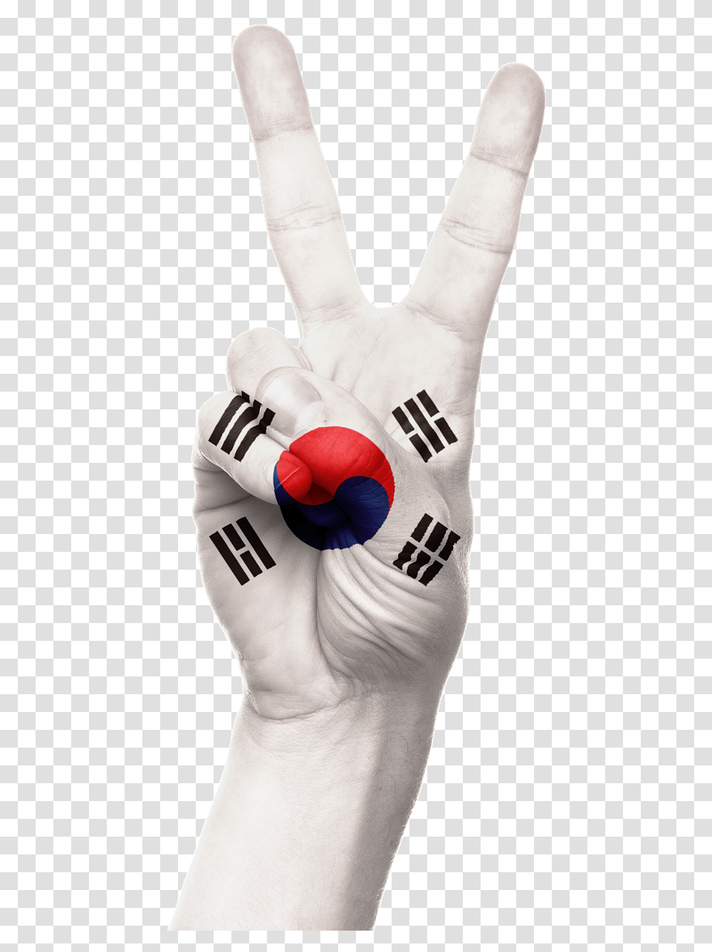 Hand South Korea Flag South Korea Flag, Apparel, Person, Human Transparent Png
