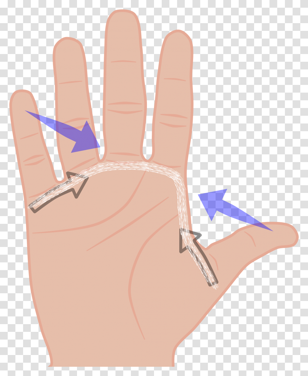 Hand Span Clipart, Wrist, Finger, Plot Transparent Png