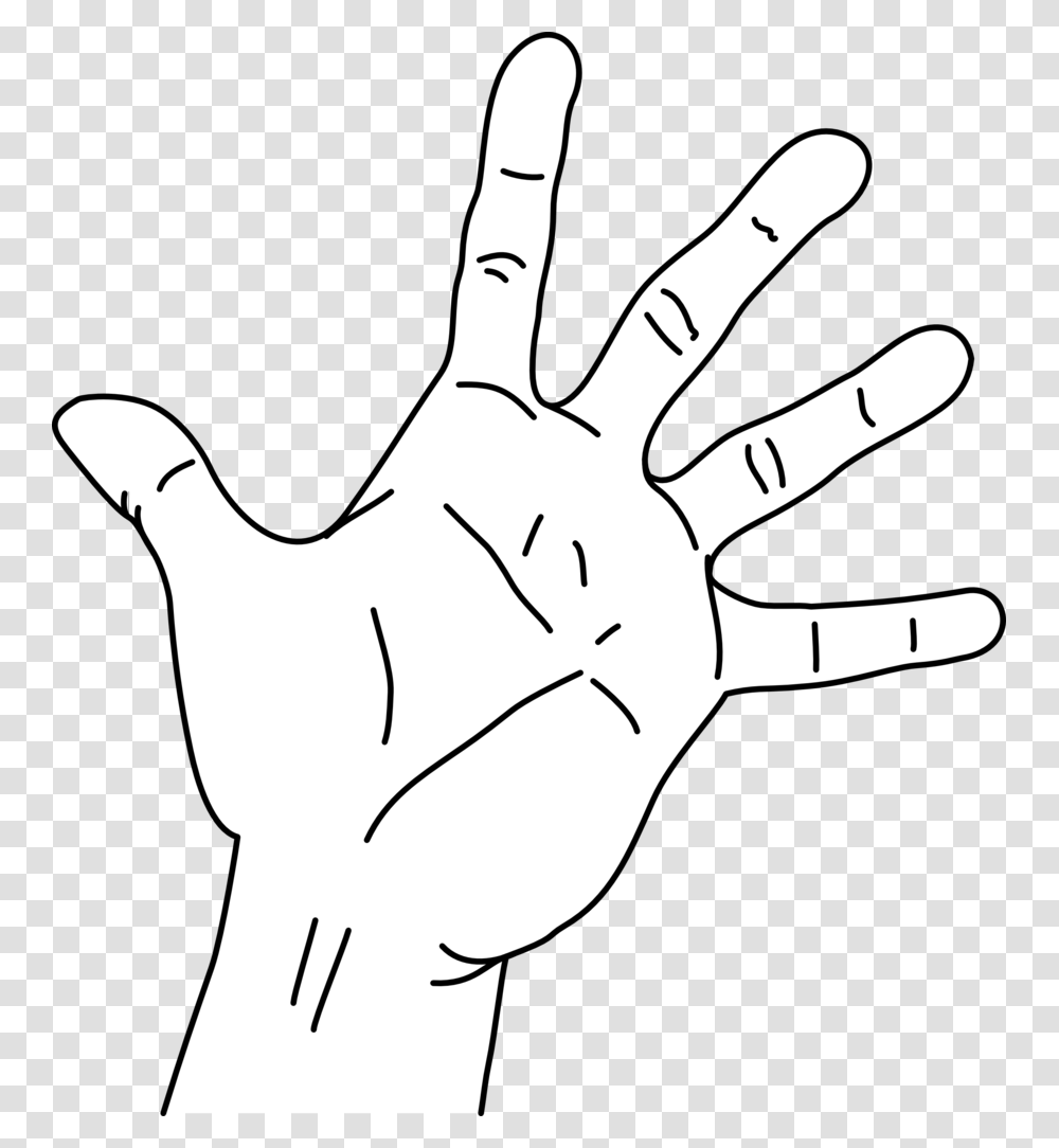 Hand Span Measurement Clipart, Person, Human, Finger, Drawing Transparent Png