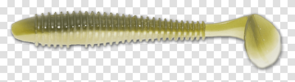 Hand Tool, Screw, Machine, Animal Transparent Png