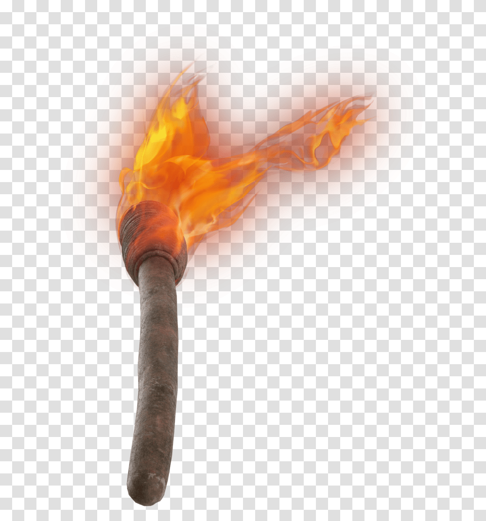 Hand Torch Image Fish, Light, Fire, Flame Transparent Png