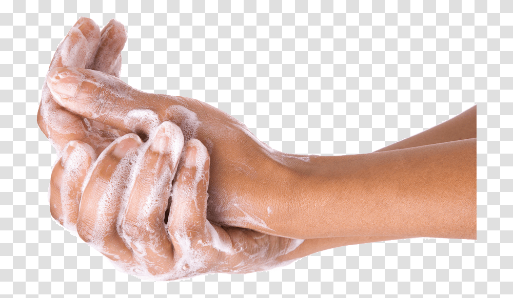 Hand Wash Images, Person, Human, Washing, Skin Transparent Png